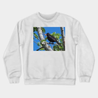 LE PANASONIC FZ 200 PAR OKAIO CRÉATION Crewneck Sweatshirt